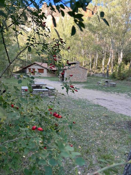 Vistas Del Maestrazgo Apartamentos Rurales Allepuz Bagian luar foto